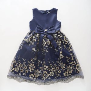 Hayley Navy & Gold Party Dress